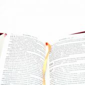 Библия каноническая 047 УZТI (бордовый кожаный переплет, золотой обрез, на молнии)